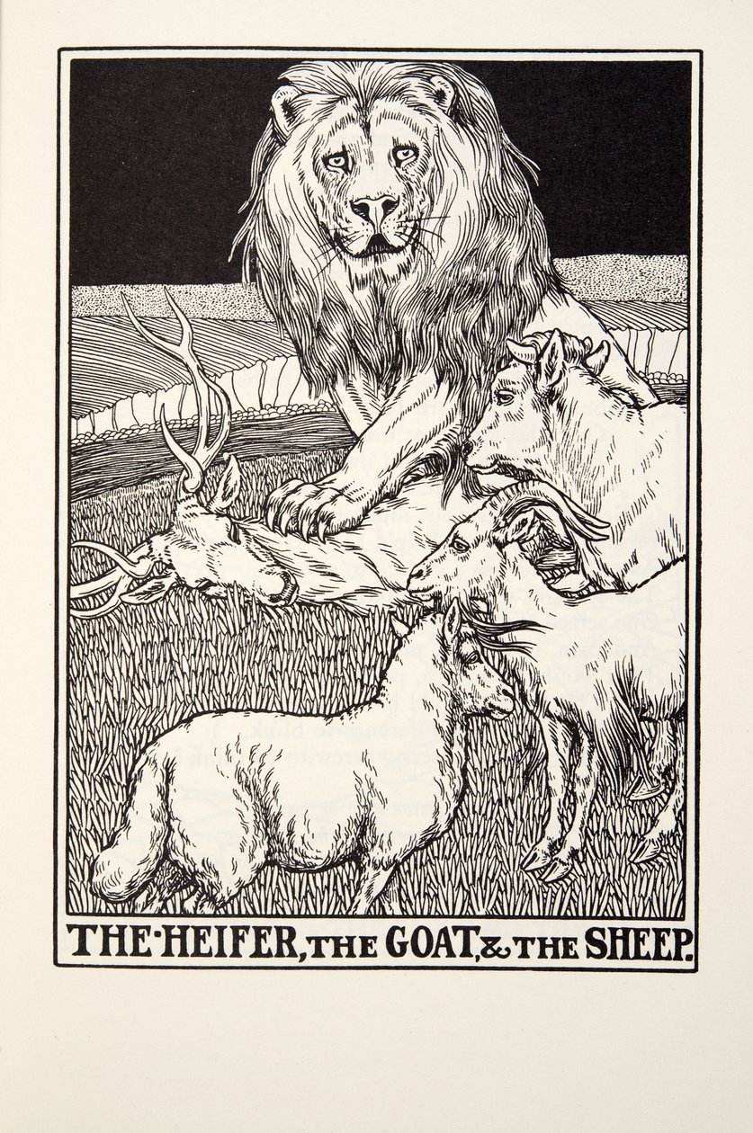 Az üsző, a kecske és a bárány, a Fontaine Fables-ből, pub. 1905 alkotó: Percy J. Billingshurst