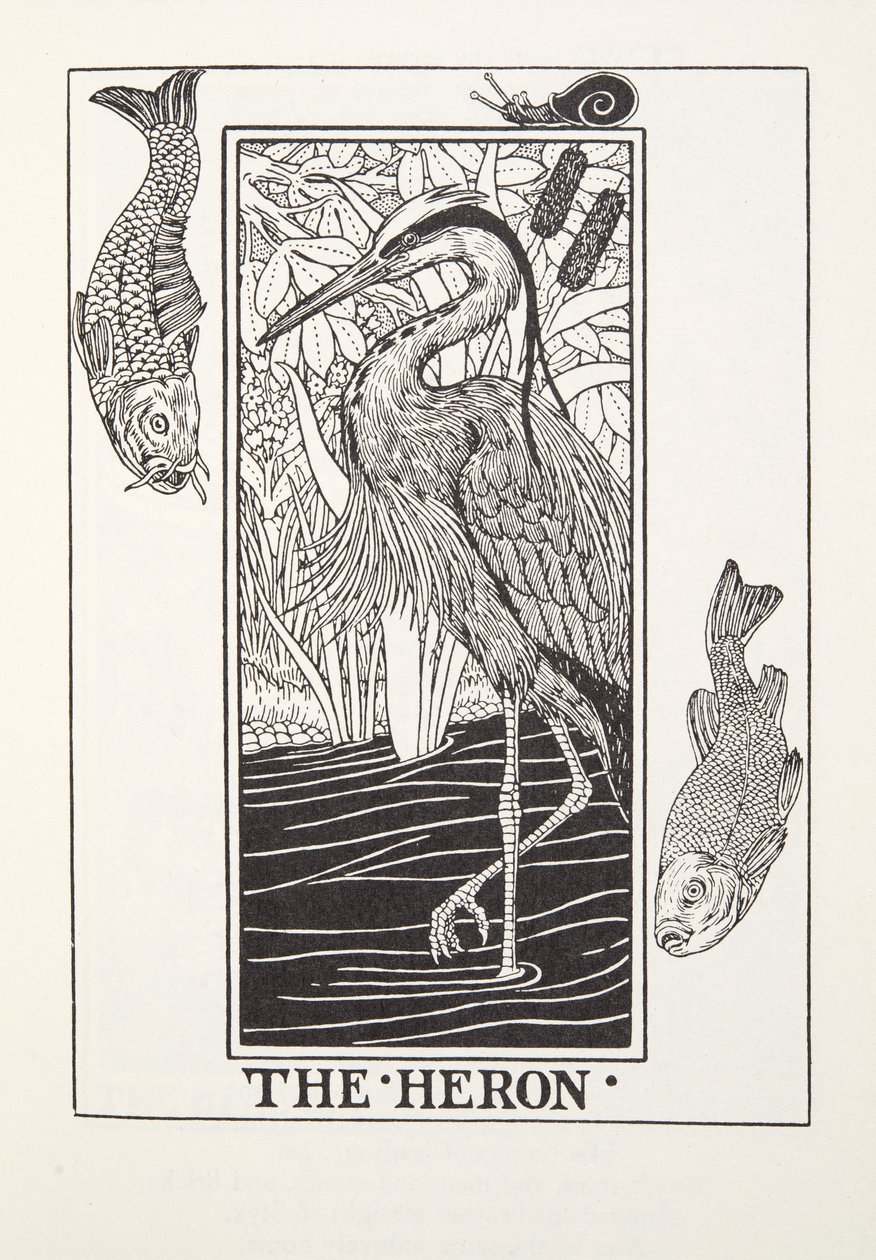 The Heron, a Fontaine Fables, kocsma. 1905 (metszet) alkotó: Percy J. Billingshurst