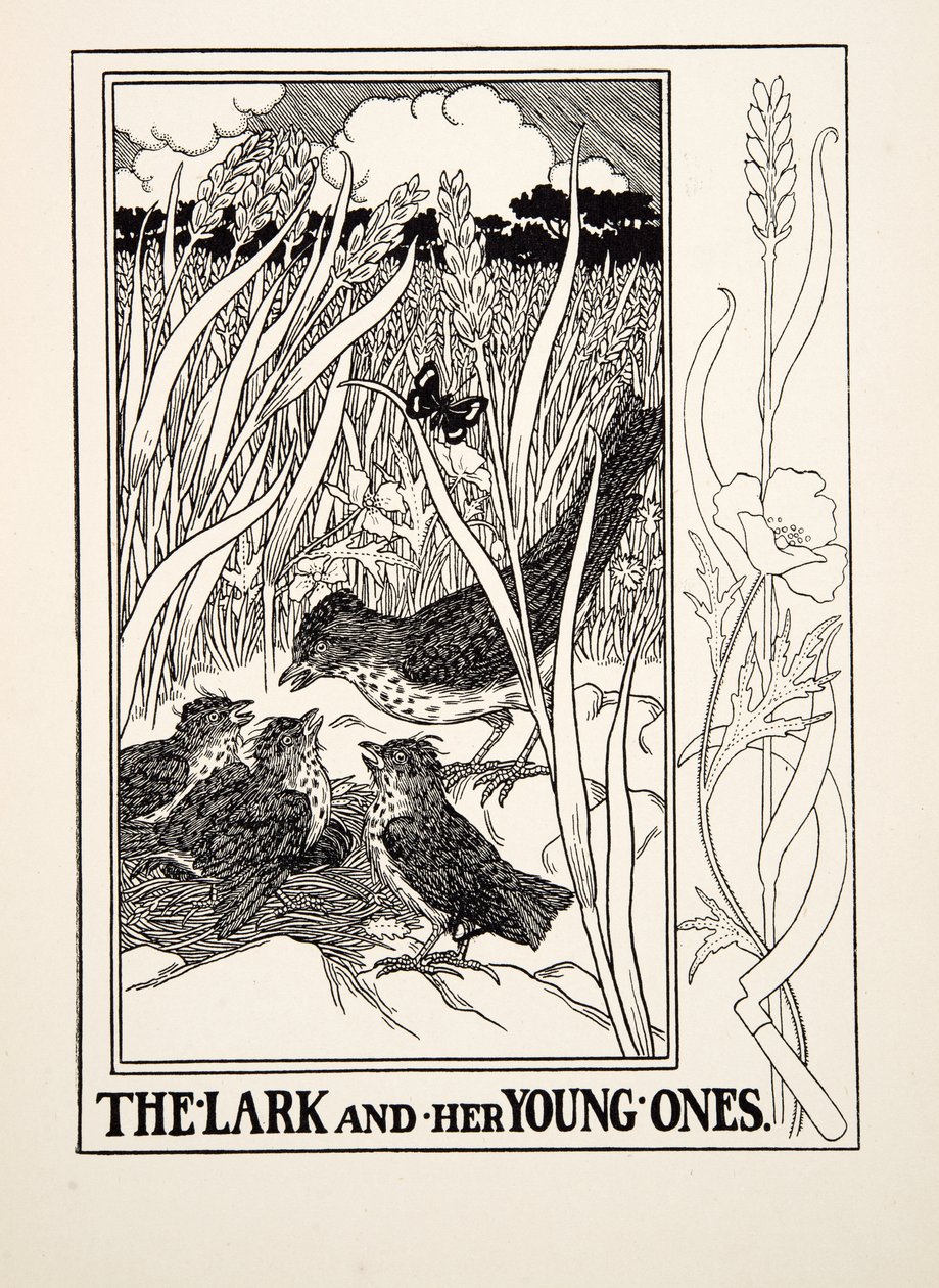 The Lark and her Young Ones, A Hundred Fables of Aesopus, pub.1903 (metszet) alkotó: Percy J. Billingshurst