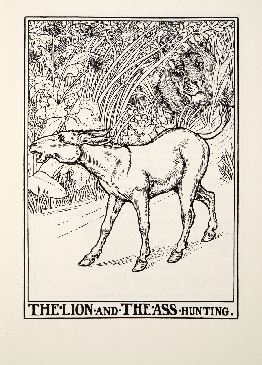 Az oroszlán és a szamárvadászat, a Fontaine Fables-től, pub. 1905 alkotó: Percy J. Billingshurst