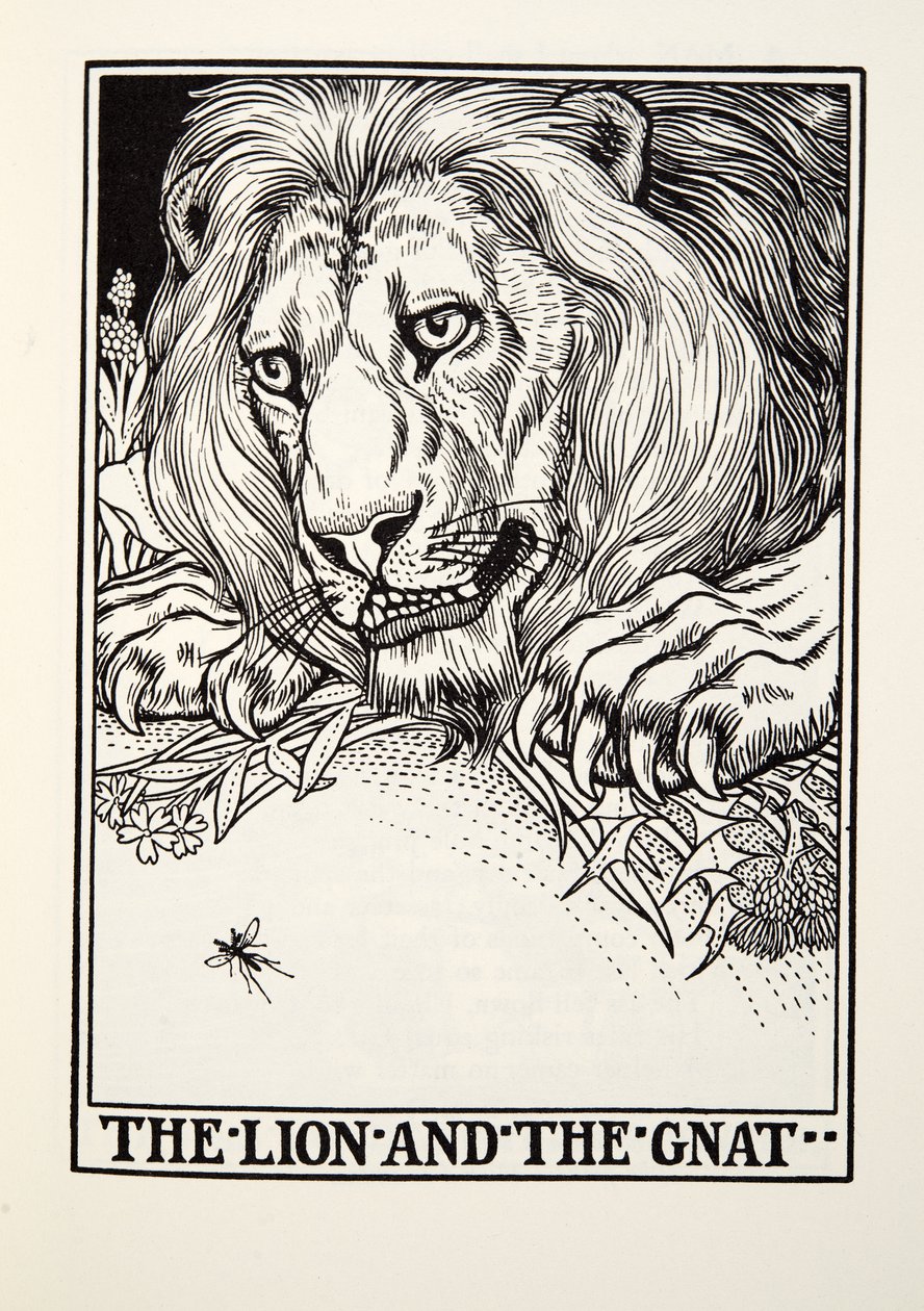 The Lion and the Gnat, a Fontaine Fables, pub. 1905 alkotó: Percy J. Billingshurst