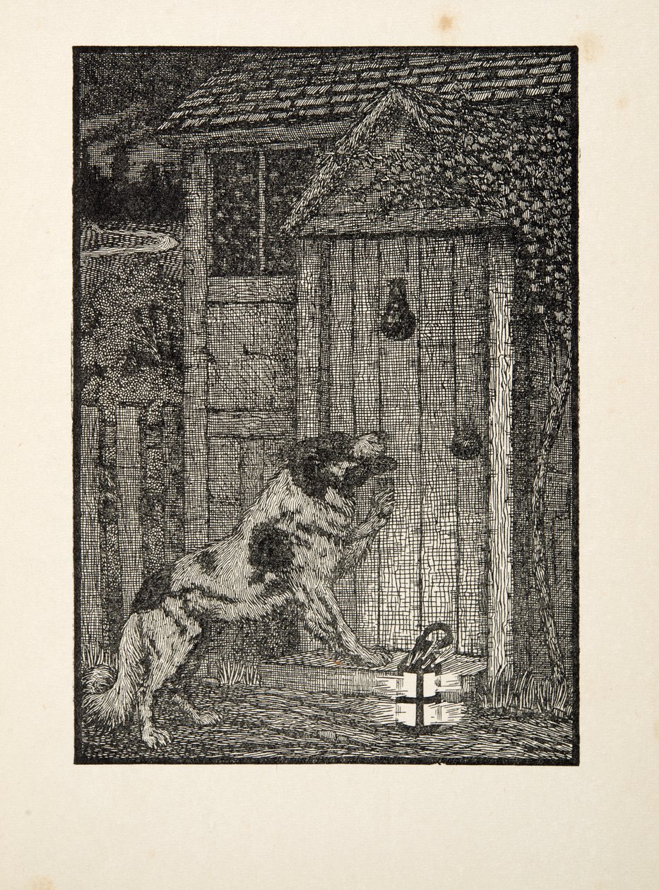 Az újfundlandi kutya az Állatok száz anekdotájából, pub. 1924 alkotó: Percy J. Billingshurst