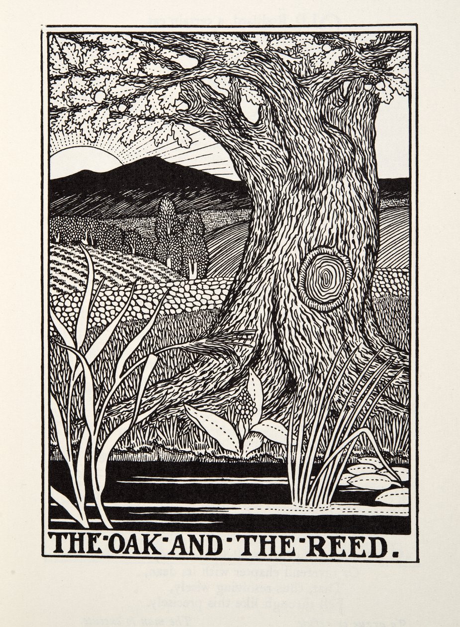 The Oak and the Reed, a Fontaine Fables, kocsma. 1905 alkotó: Percy J. Billingshurst