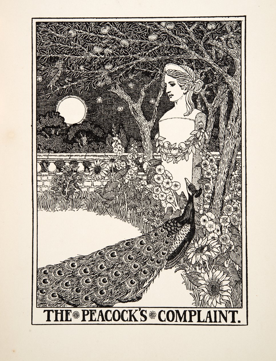 The Peacocks Complaint, A Hundred Fables of Aesopus, Pub.1903 alkotó: Percy J. Billingshurst