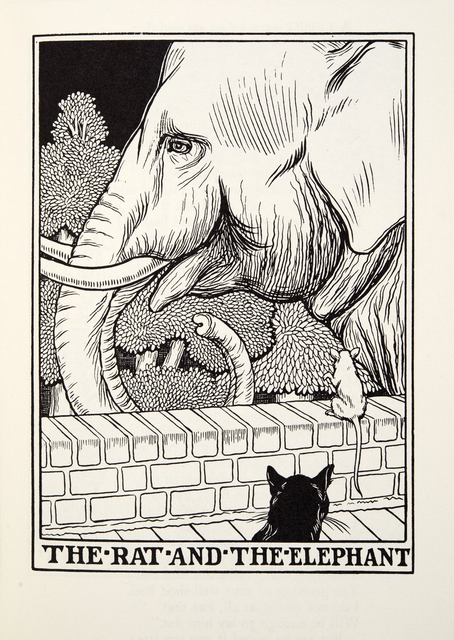 A patkány és az elefánt, a Fontaine Fables-ből, pub. 1905 alkotó: Percy J. Billingshurst