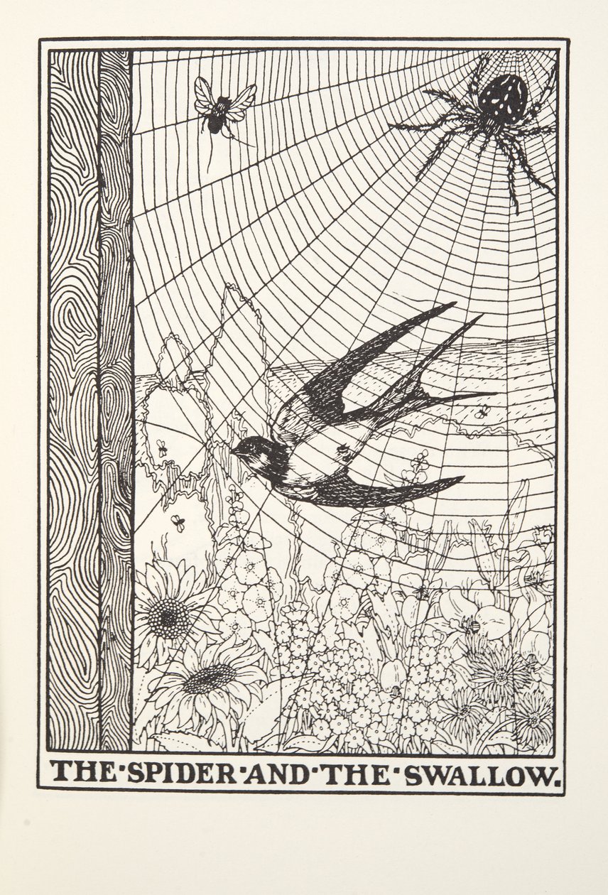 A Pók és a fecske, a Fontaine Fables-ből, pub. 1905 alkotó: Percy J. Billingshurst