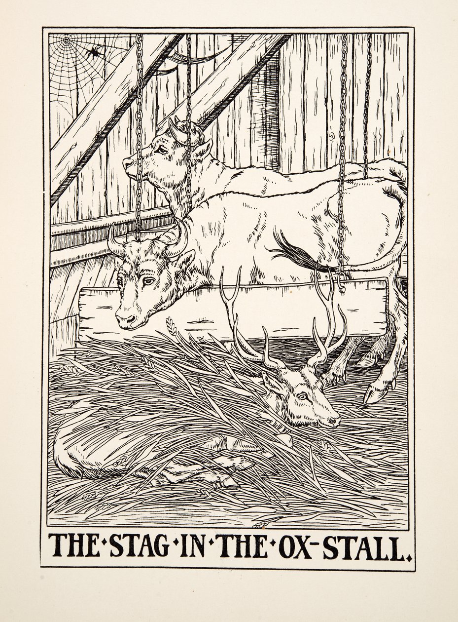A szarvas az ökör istállójában, A Hundred Fables of Aesop, 1903 (metszet) alkotó: Percy J. Billingshurst