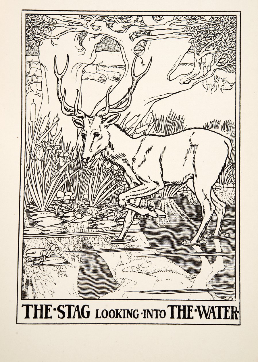 A vízbe nézõ szarvas, Aesopus száz meséjébõl, 1903. évi pub. (metszet) alkotó: Percy J. Billingshurst