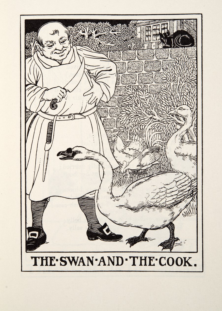 A hattyú és a szakács, a Fontaine Fables-ből, pub. 1905 alkotó: Percy J. Billingshurst