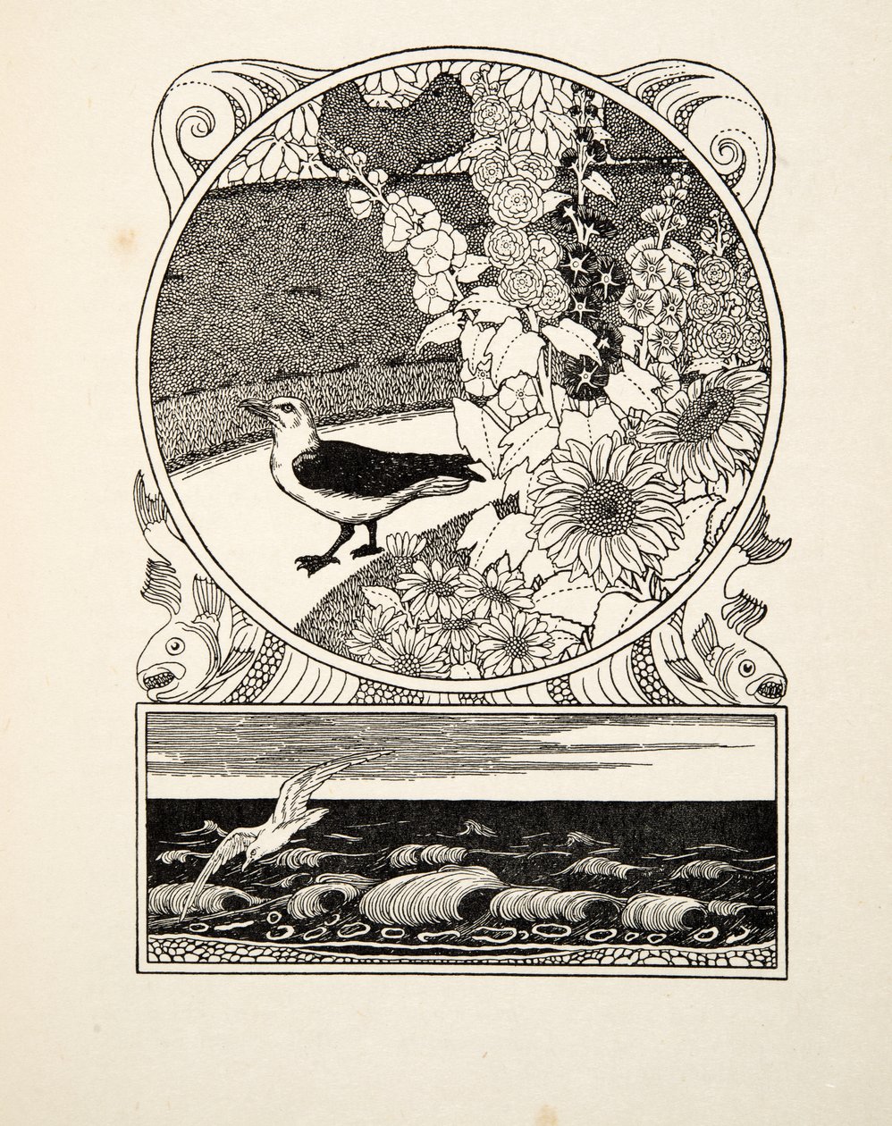 A szelíd sirály, az Állatok száz anekdotájából, pub. 1924 (metszet) alkotó: Percy J. Billingshurst