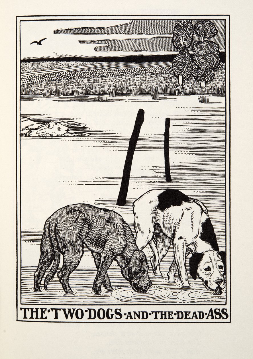 The Two Dogs and the Dead Ass, a Fontaine Fables, pub. 1905 alkotó: Percy J. Billingshurst