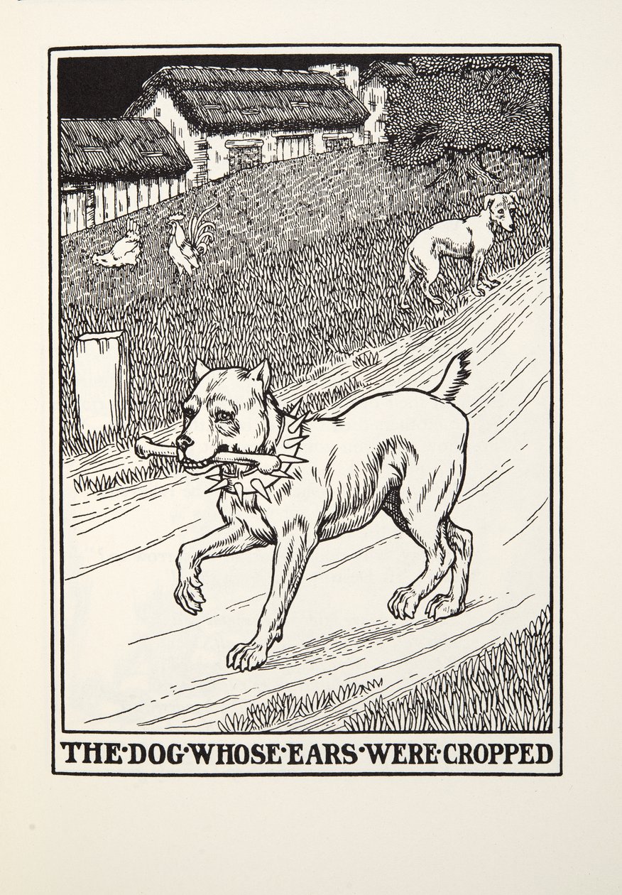 A kutya, akinek levágták a fülét, a Fontaine Fables-ből, pub. 1905 alkotó: Percy J. Billingshurst