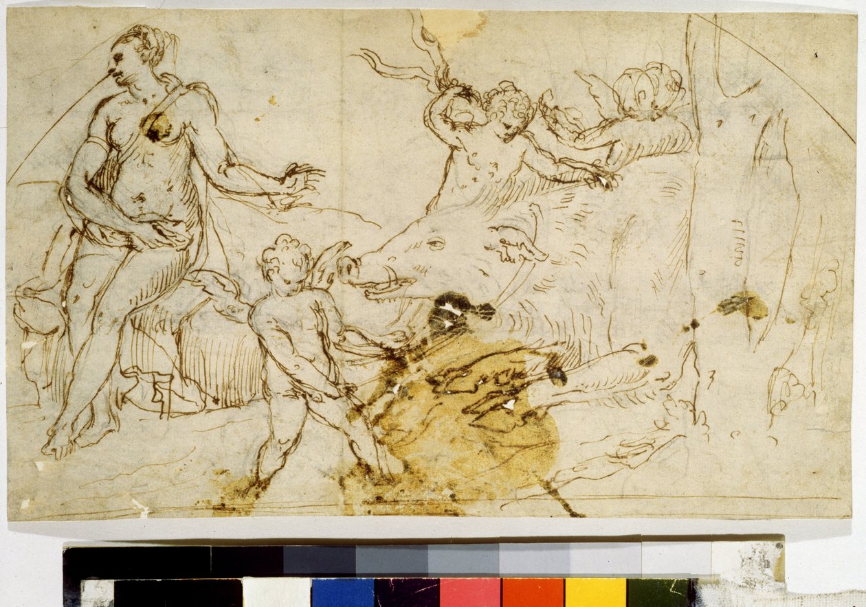  alkotó: Perino del (1501-47) Vaga