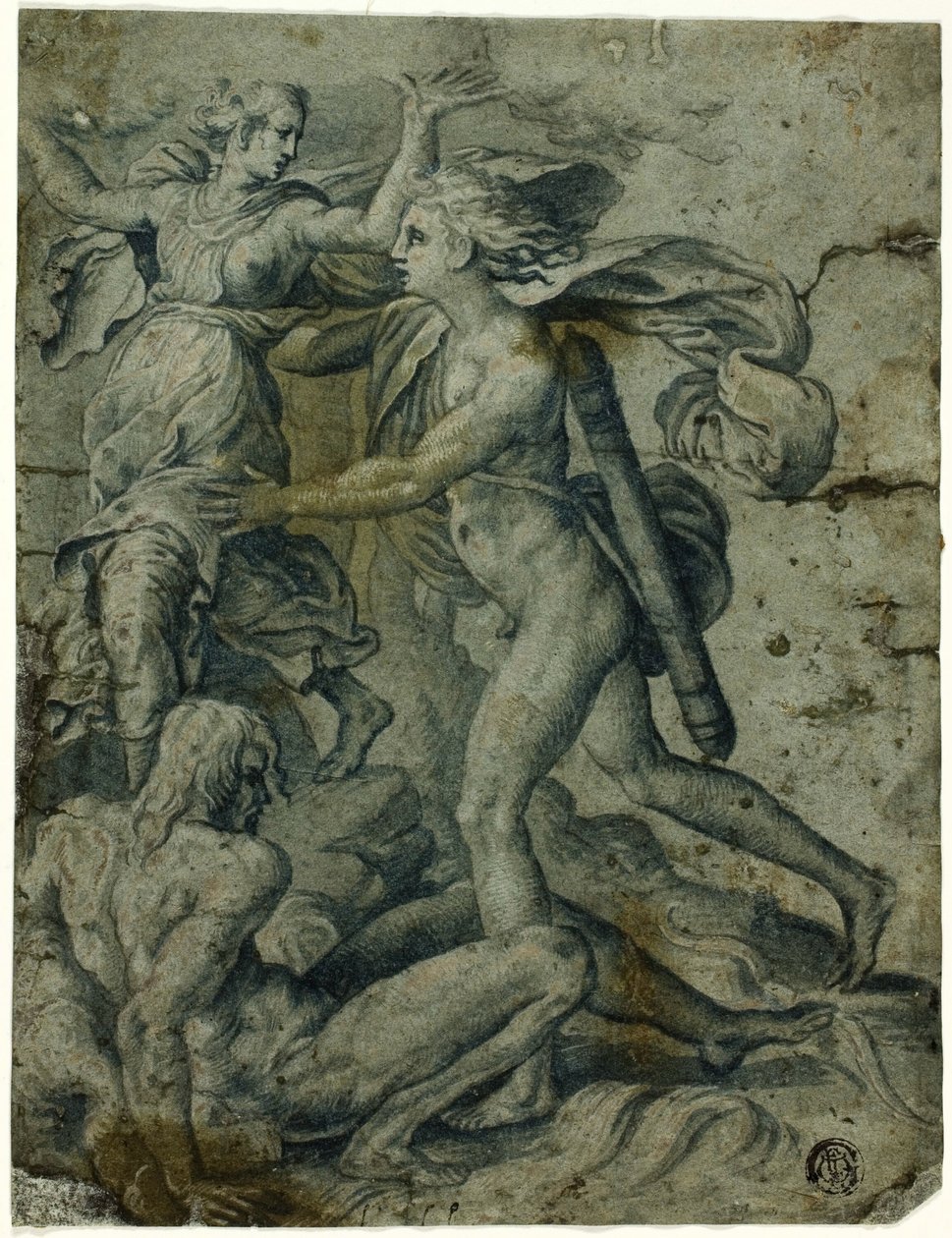 Apollo és Daphne alkotó: Perino del Vaga