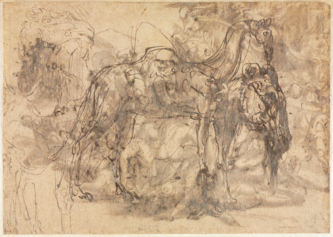 Vázlatok az állatokról verso, c. 154547. alkotó: Perino del Vaga