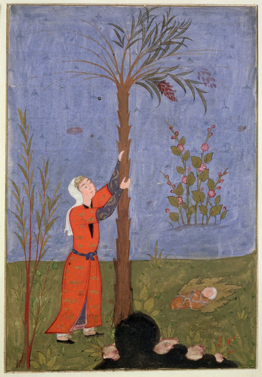 53(d) Mary markoló datolyapálmát, perzsa miniatűr, Qazvin alkotó: Persian School