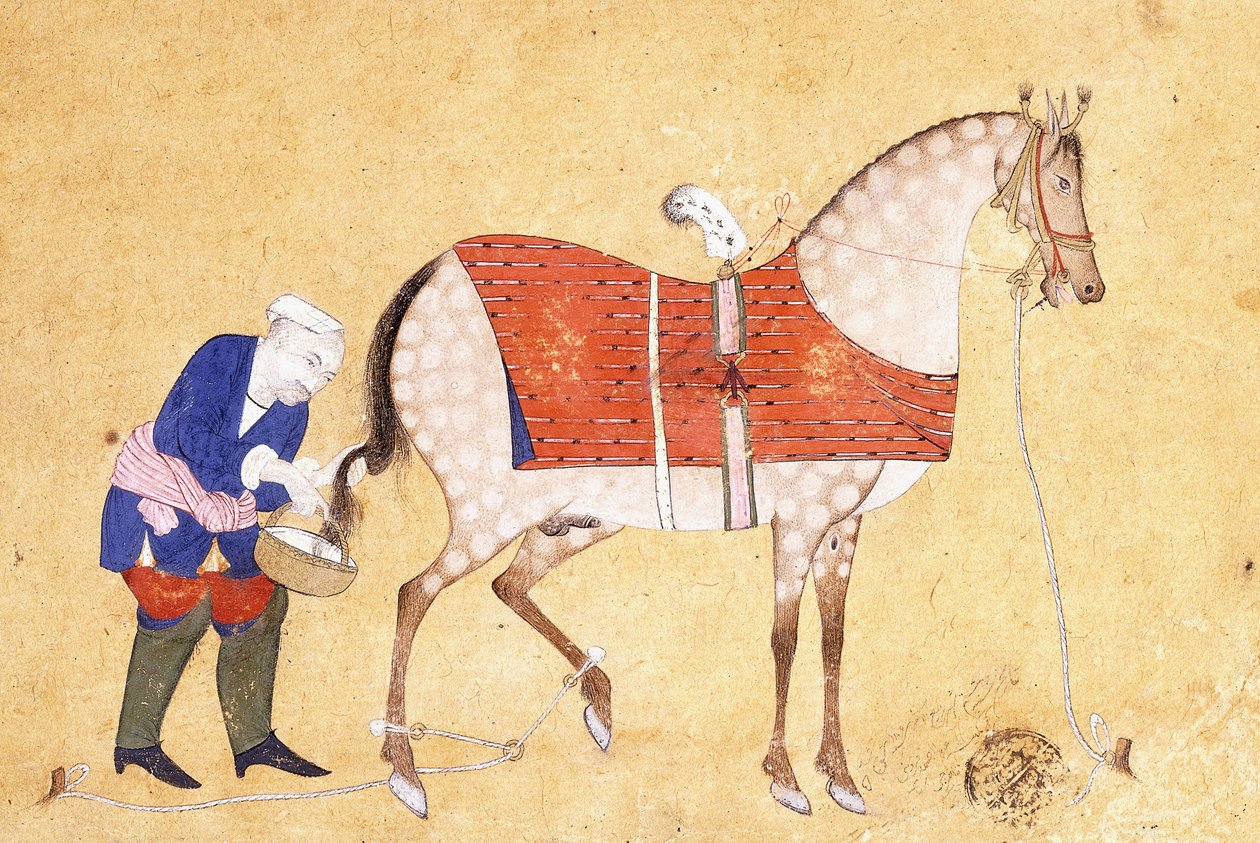 Vőlegény lóval, 1694 alkotó: Persian School