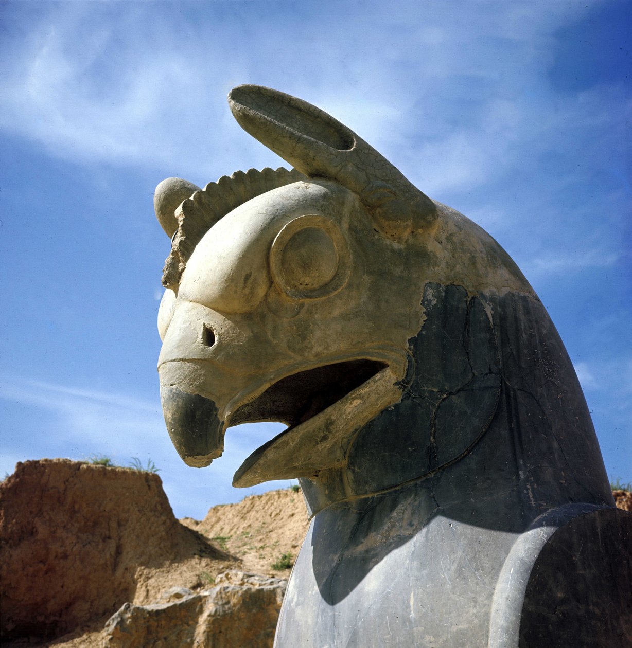 Griff, legendás lény félig sas, félig oroszlán. Az Apadana oszlopa, nagy tárgyalóterem, e fővárosok fölött, I. Dareiosz palotája, Perszepolisz, Irán. alkotó: Persian School