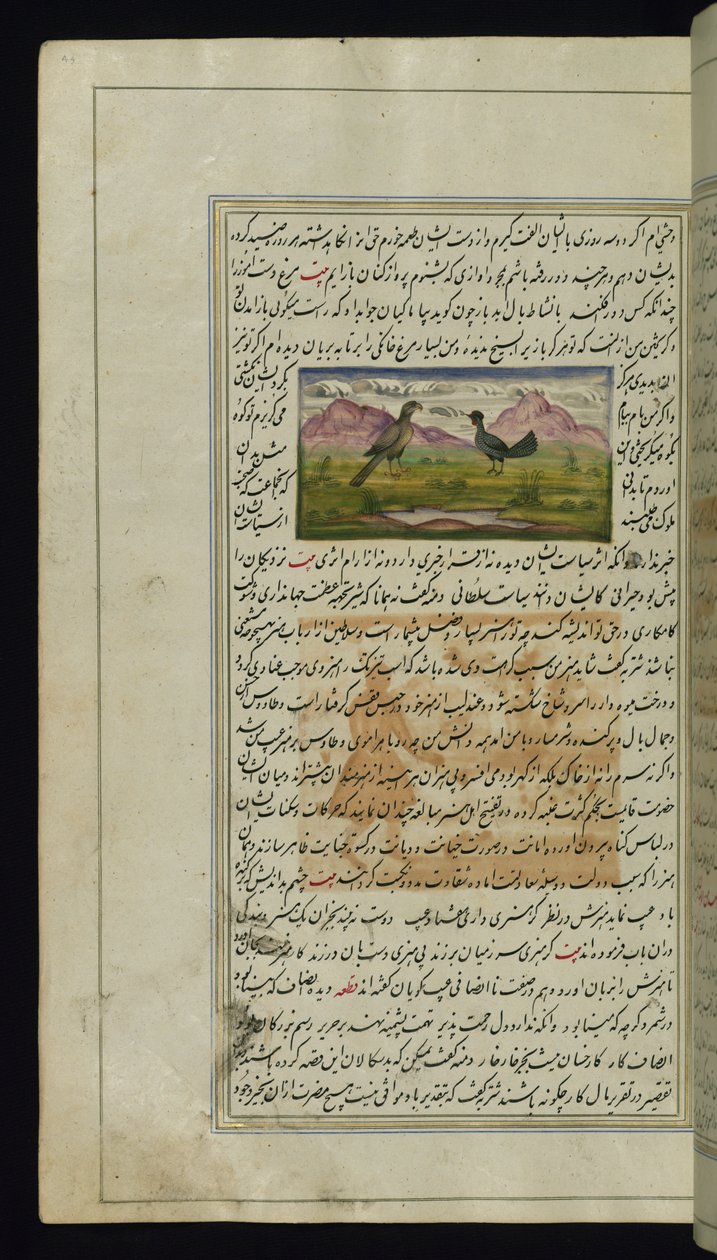 Egy sólyom és egy tyúk a Lights of Canopusból alkotó: Persian School
