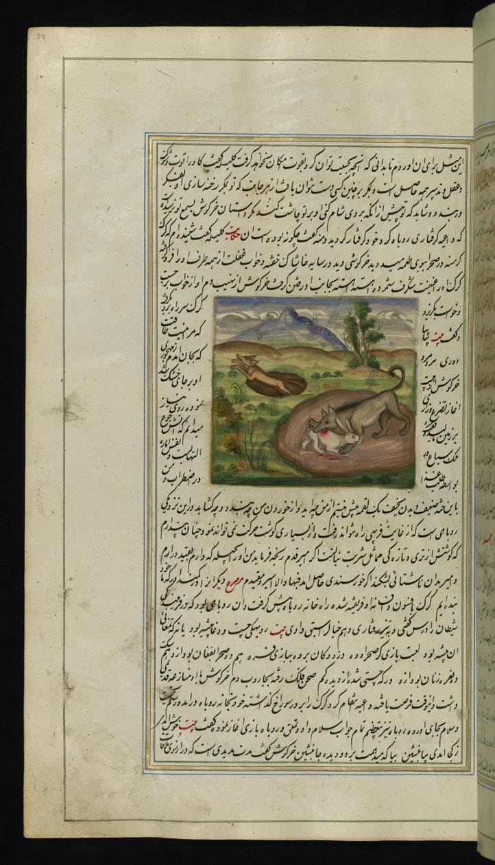 Egy sakál felfal egy nyulat a Lights of Canopus, 1847-ből alkotó: Persian School