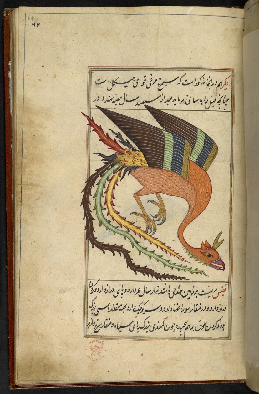 Adja hozzá az MS 15241 f.64r-t. A simurgh, egy iráni mennydörgés, a „Majma” Al-ghara’ib ritkasággyűjteményéből. Írta: Mohamed Balkhi szultán alkotó: Persian School