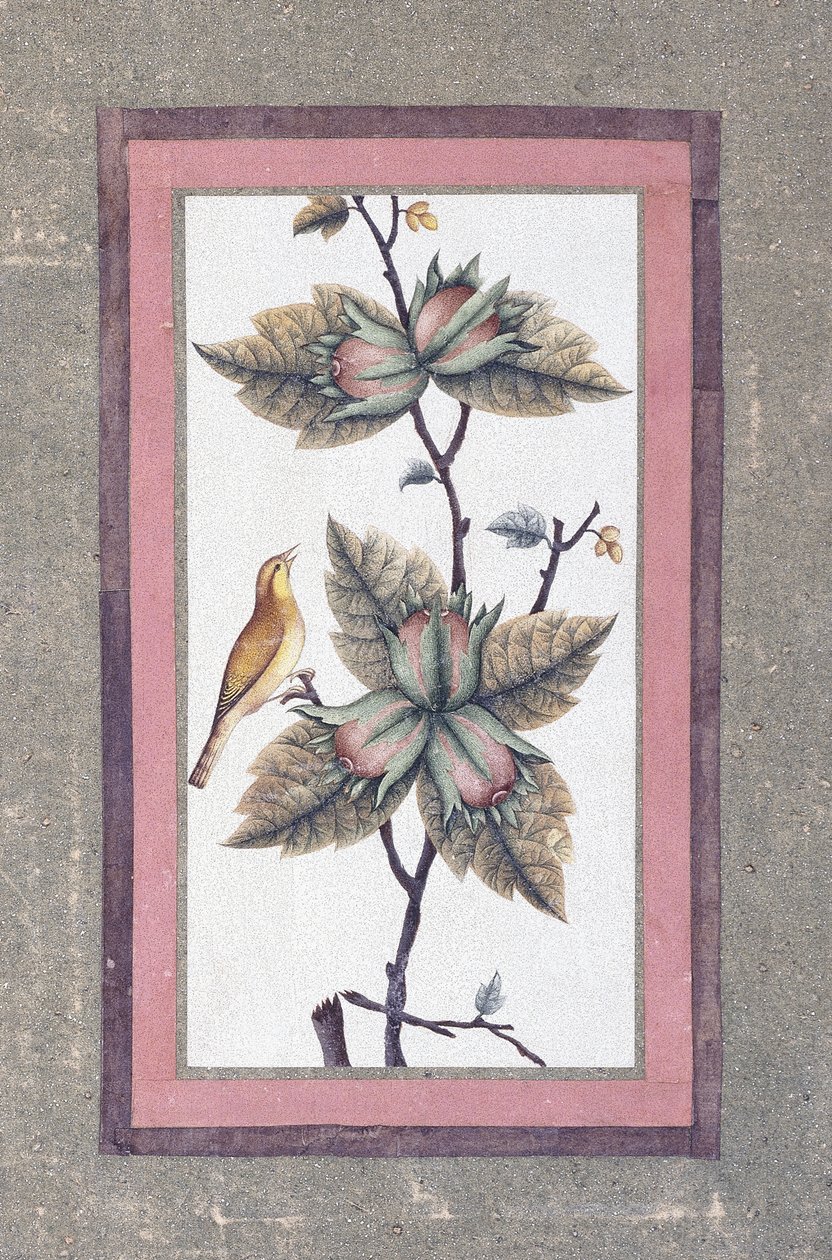 Madár- és virágtanulmány, 1780 körül alkotó: Persian School