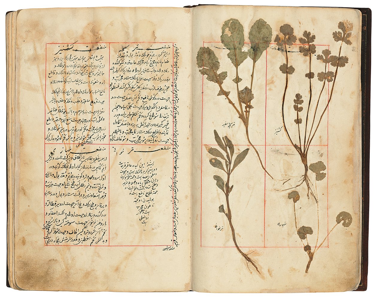 Hassan Bin Baqir Bin Jarrah: Ghalzar Al-Raihain, Qajar Irán alkotó: Persian School