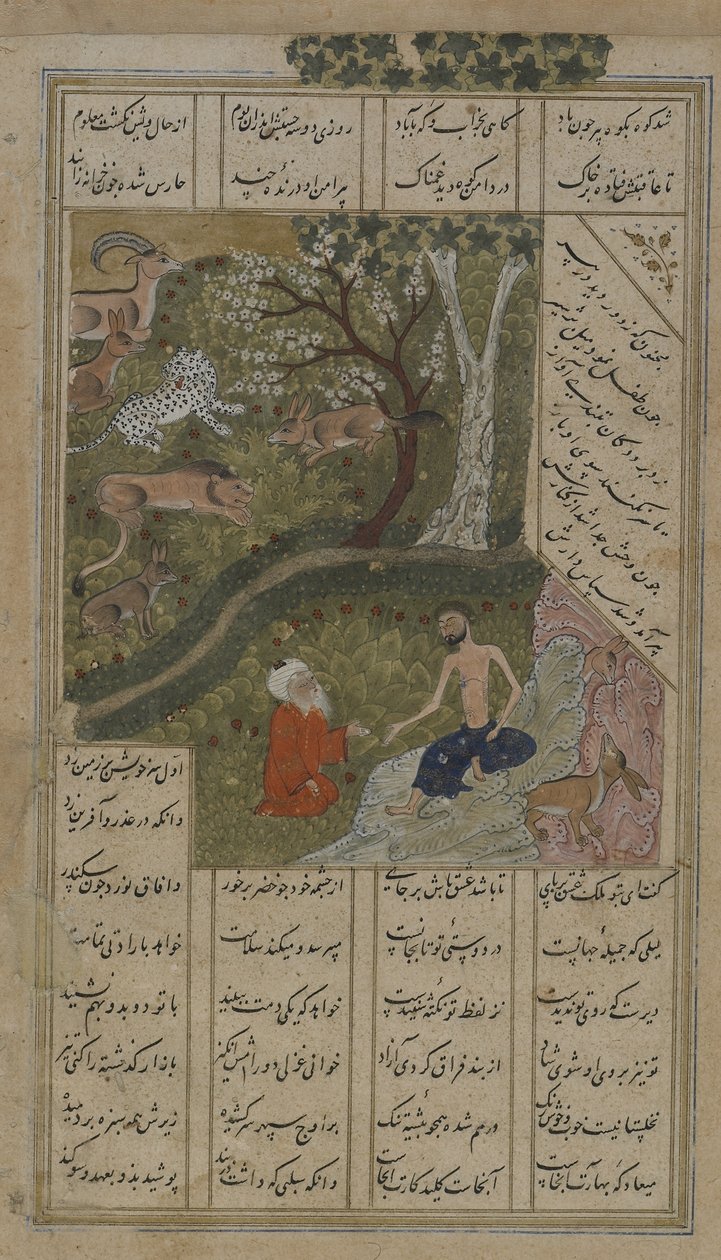 Madznun, amelyet a Shaykh Salim látogatott meg a vadonban, Nizami (d.1209) 1475-1500 közötti Layla u-Majnun fóliója (átlátszatlan akvarell, tinta és arany papíron) alkotó: Persian School