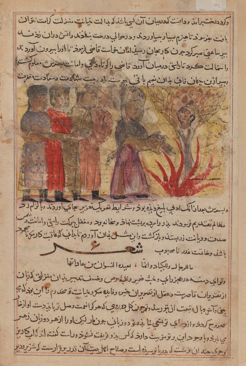 Miniatűr festmény Kalila wa Dimnától (tinta és átlátszatlan wc papíron) alkotó: Persian School