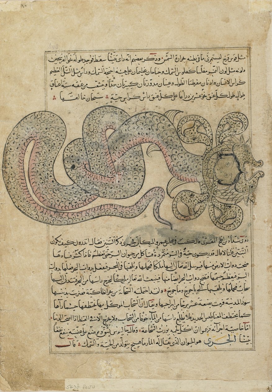 A tengeri kígyósárkány (al-Tannin), az Ajaib al-makhluqat (A teremtés csodái) fóliója al-Qazvinitől, Iraktól vagy Kelet-Törökországtól (átlátszatlan akvarell, tinta, arany és ezüst papíron) alkotó: Persian School