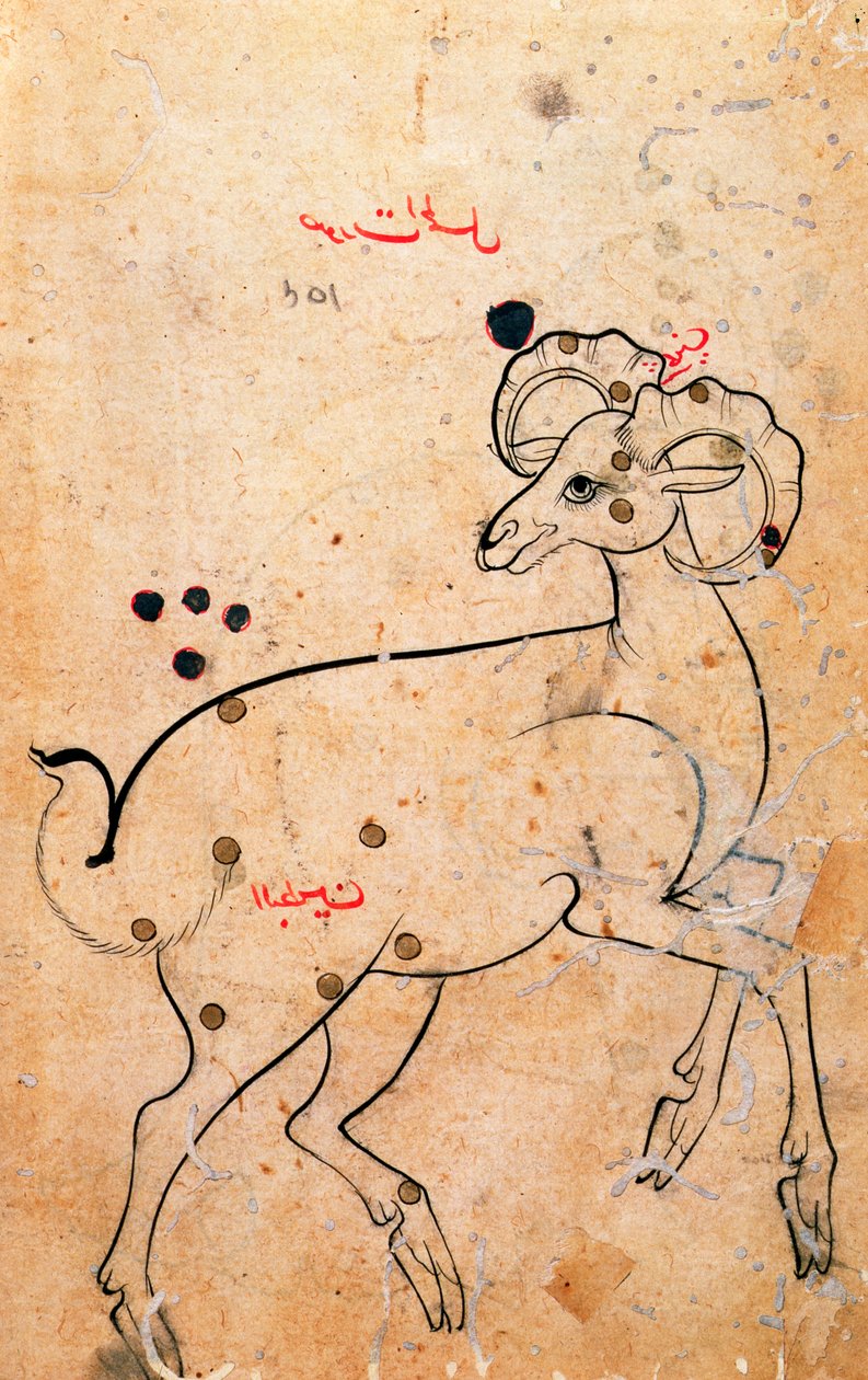 f.154a Kos, kos, perzsa, Iszfahánból vagy Sirázból, 1600 körül (tinta papíron) alkotó: Persian School