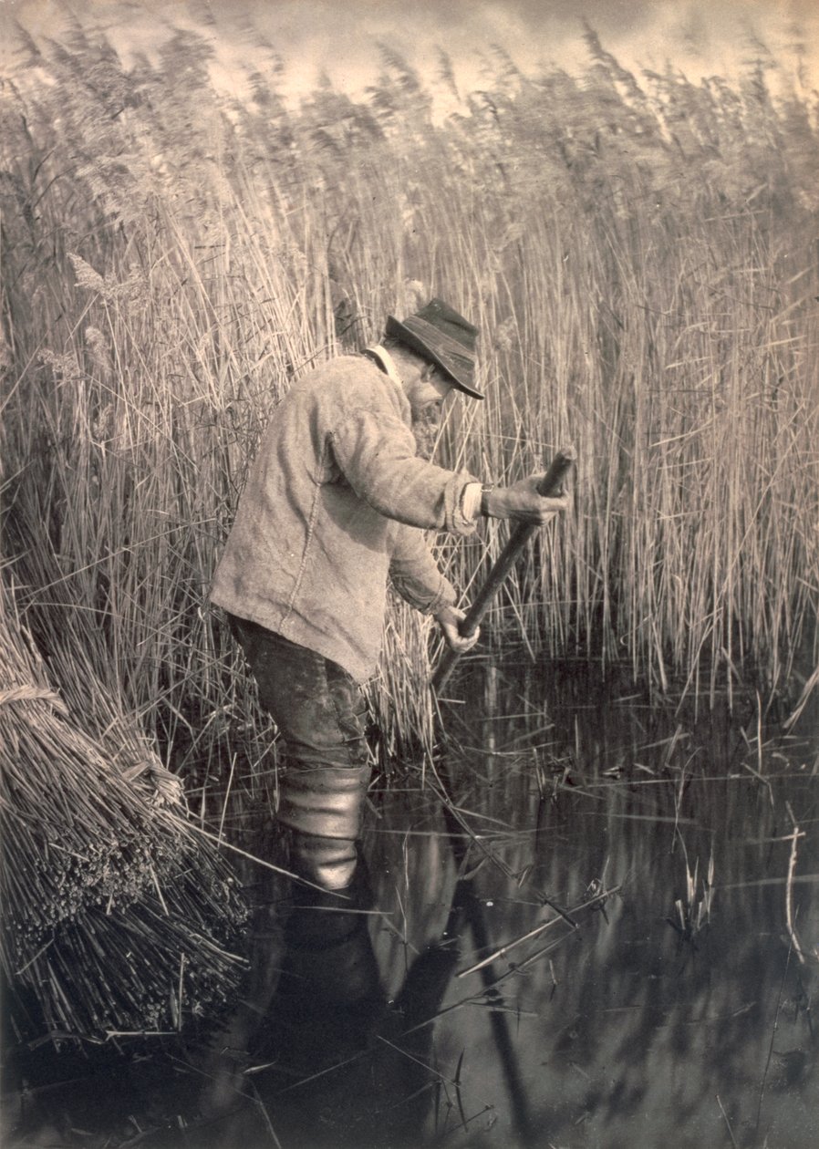 Egy nádvágó munkában, életben és tájban a Norfolk Broads-on, 1886 körül alkotó: Peter Emerson und Thomas Goodall