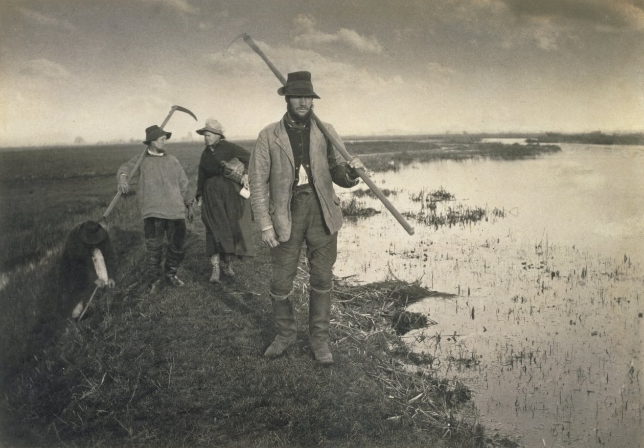 Cutting the Gladdon, Élet és táj a Norfolk Broadson, 1886 körül alkotó: Peter Emerson und Thomas Goodall