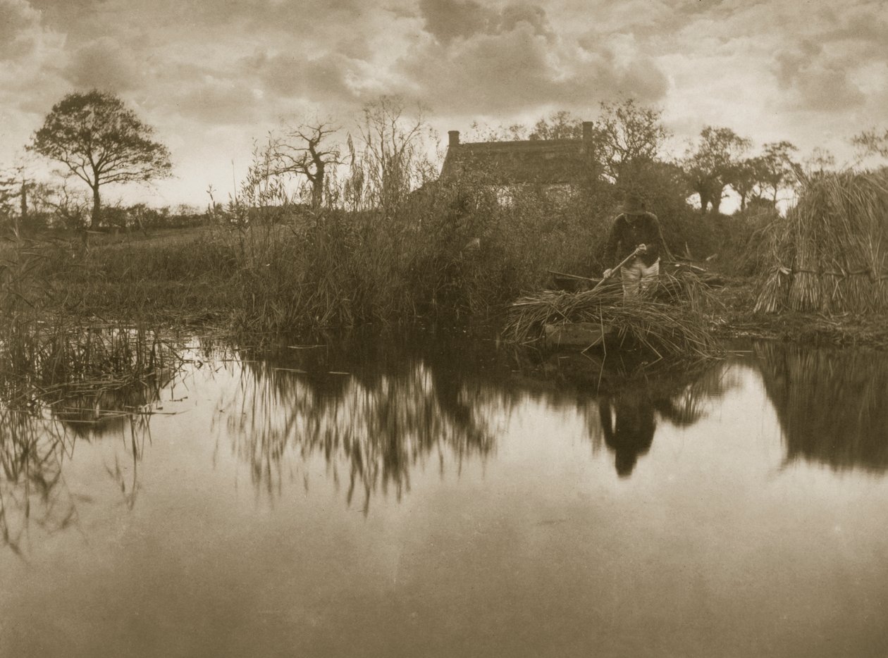 Gathering the Gladdon, 1886 körül alkotó: Peter Emerson und Thomas Goodall