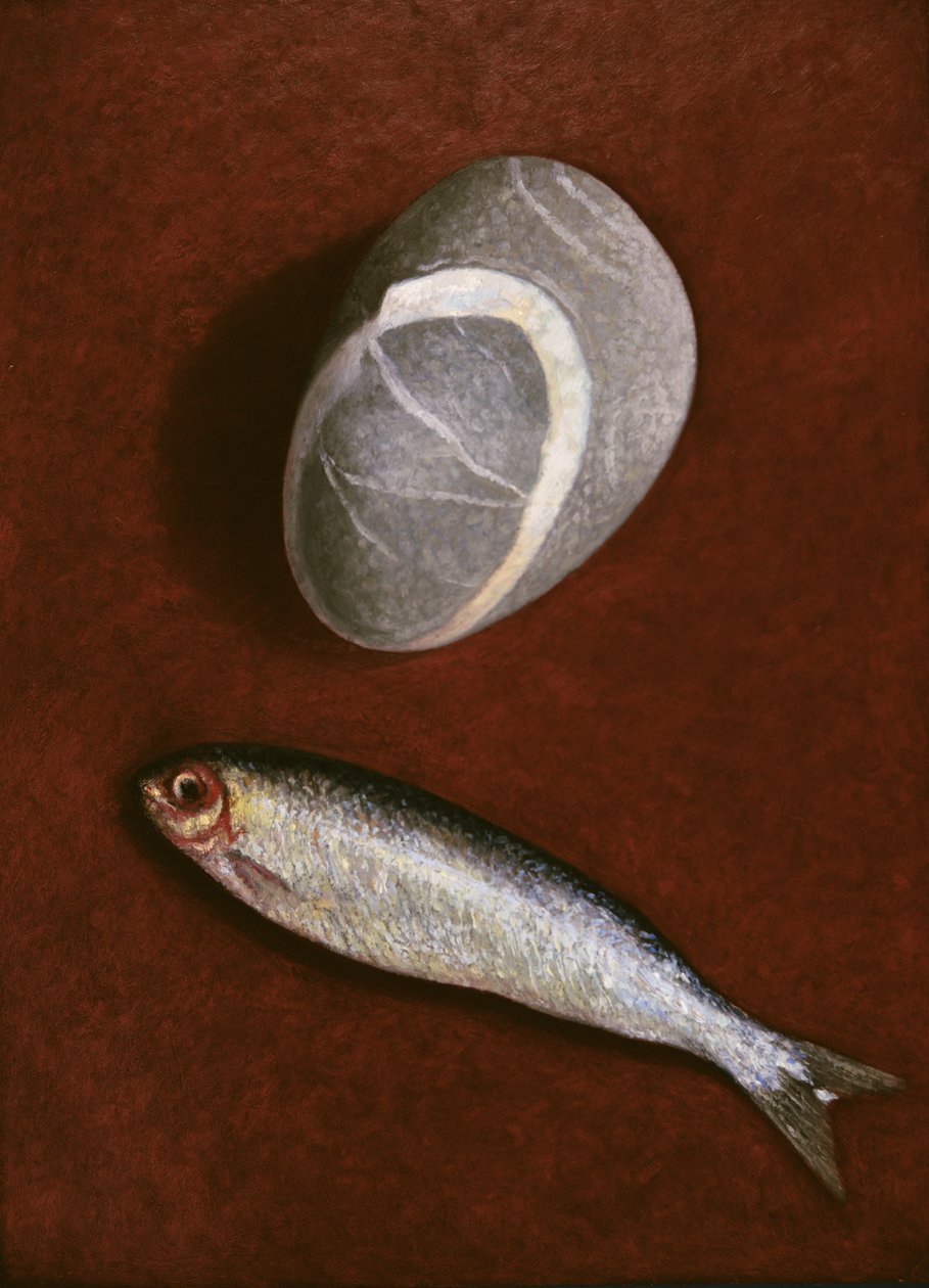 Fish and Rock Form, 1997 alkotó: Peter Davidson