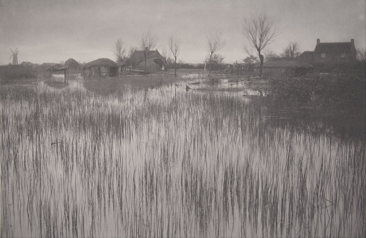 Egy rohanó part, XXXV lemez az Élet és táj a Norfolk Broads -ból alkotó: Peter Henry Emerson