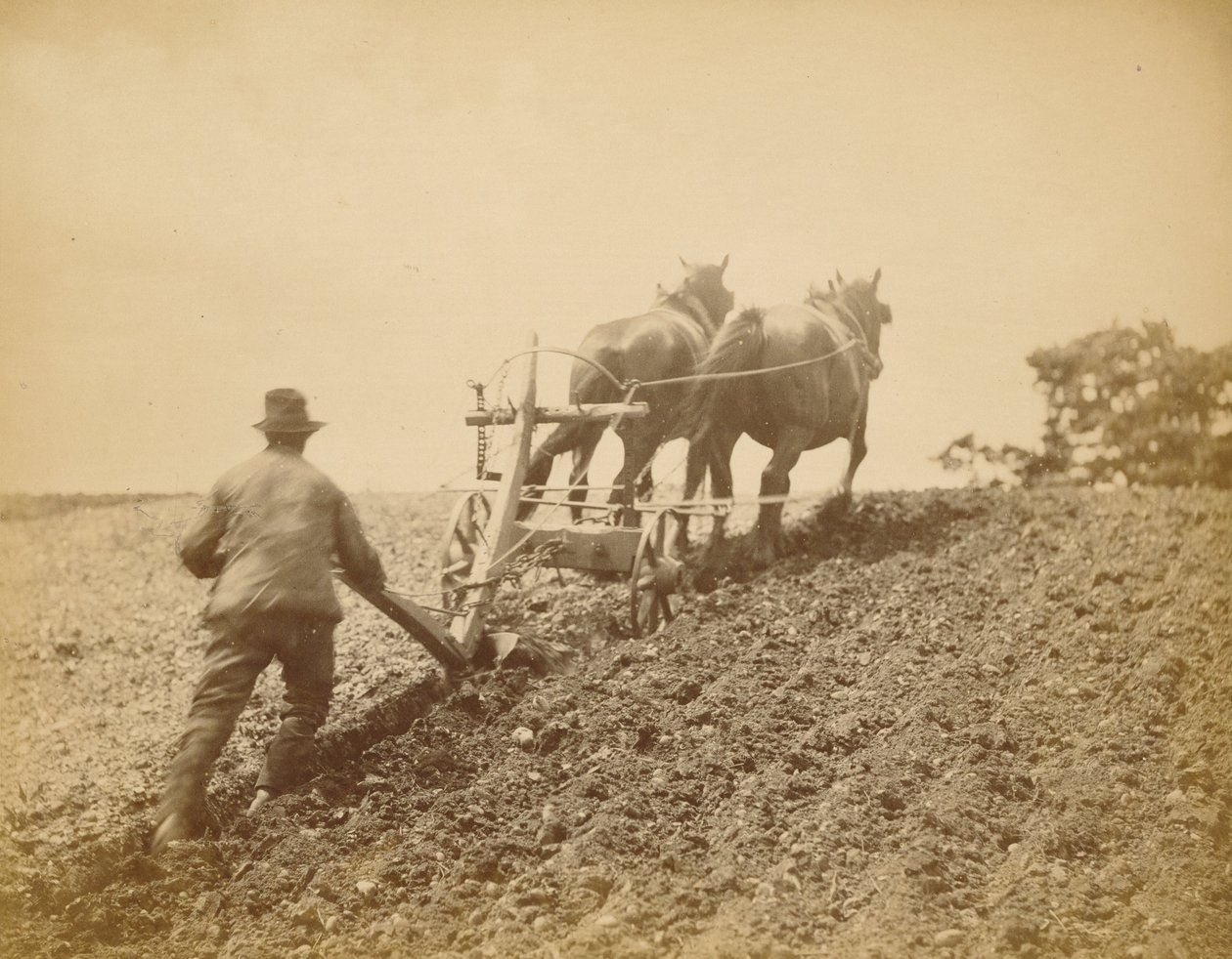 Merev húzás alkotó: Peter Henry Emerson