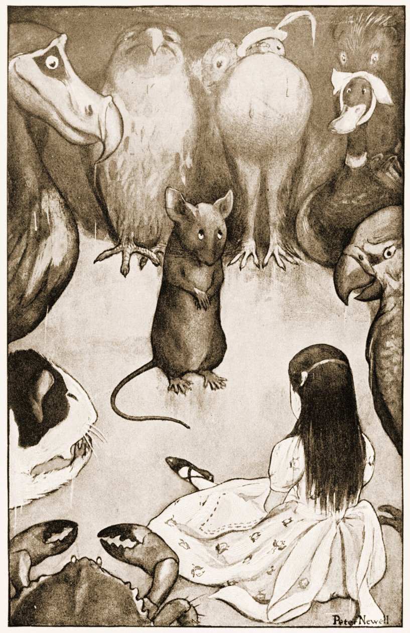 ""Az enyém egy hosszú és szomorú mese", mondta az egér", illusztráció Lewis Carroll Alice kalandjai csodaországban, 1901. alkotó: Peter Newell