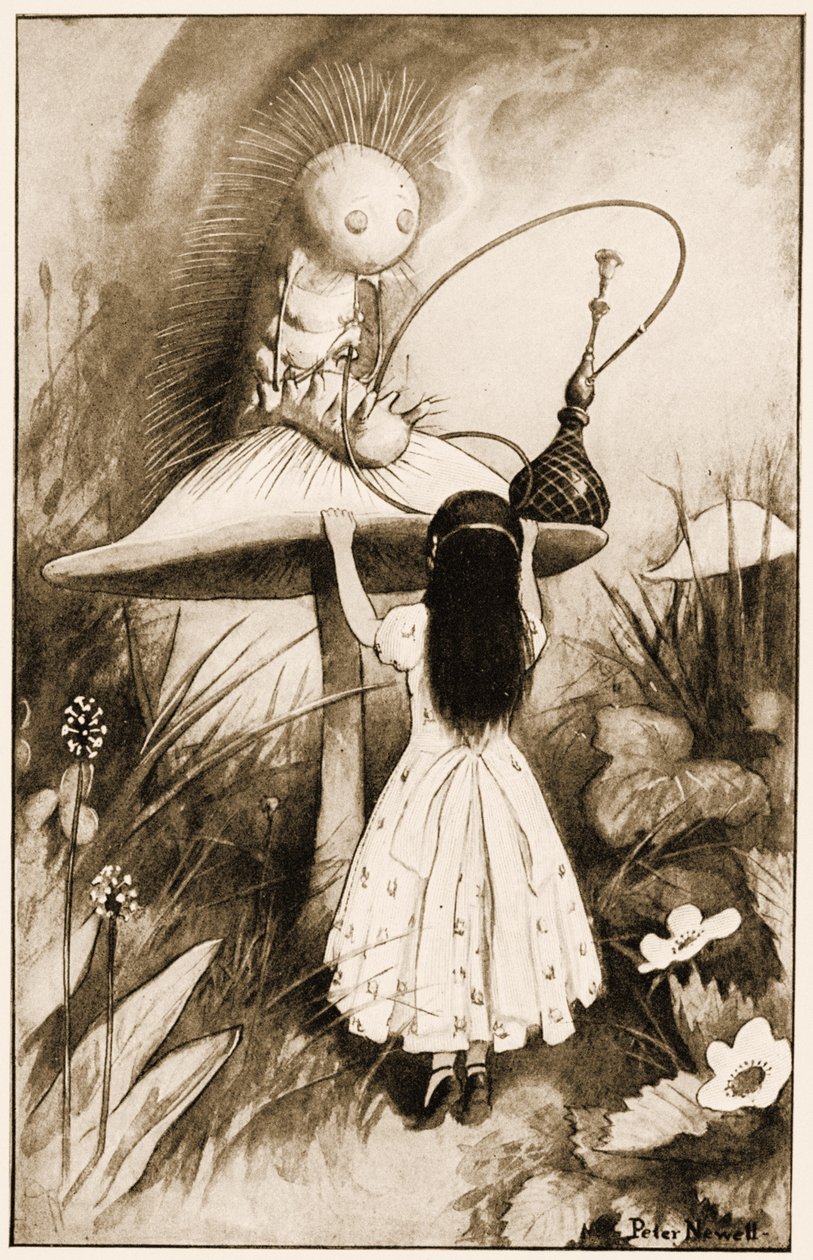 A Hernyó és Alice egymásra néztek, illusztráció Lewis Carrolls Alices kalandjai Csodaországban, 1901 alkotó: Peter Newell