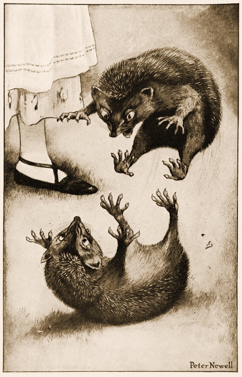 "A sündisznó harcba keveredett egy másik sündisznóval", illusztráció Lewis Carroll Alice Csodaországban című könyvéhez, 1901 alkotó: Peter Newell