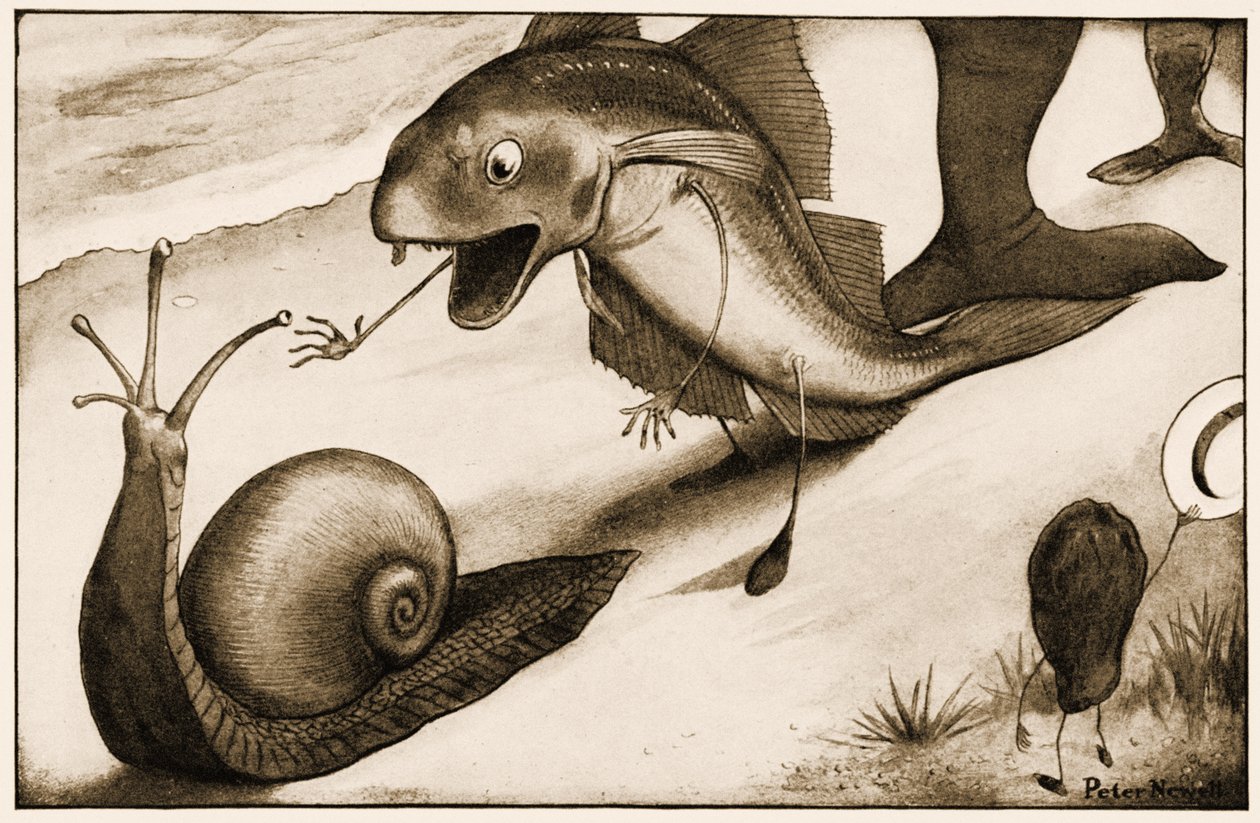 "Gyorsabban fogsz sétálni?" - kérdezte egy whiting a csigához, illusztráció Lewis Carroll Alice Csodaországban című könyvéhez, 1901 alkotó: Peter Newell