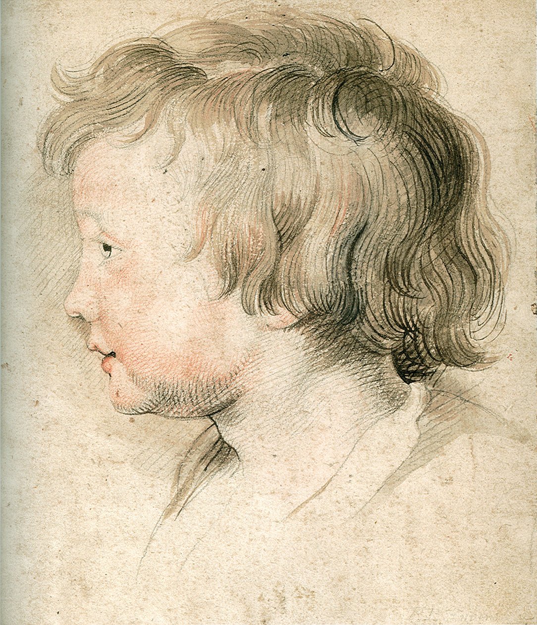 Albert Rubens alkotó: Peter Paul Rubens