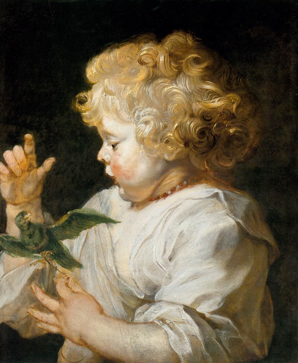 Fiú Madárral alkotó: Peter Paul Rubens