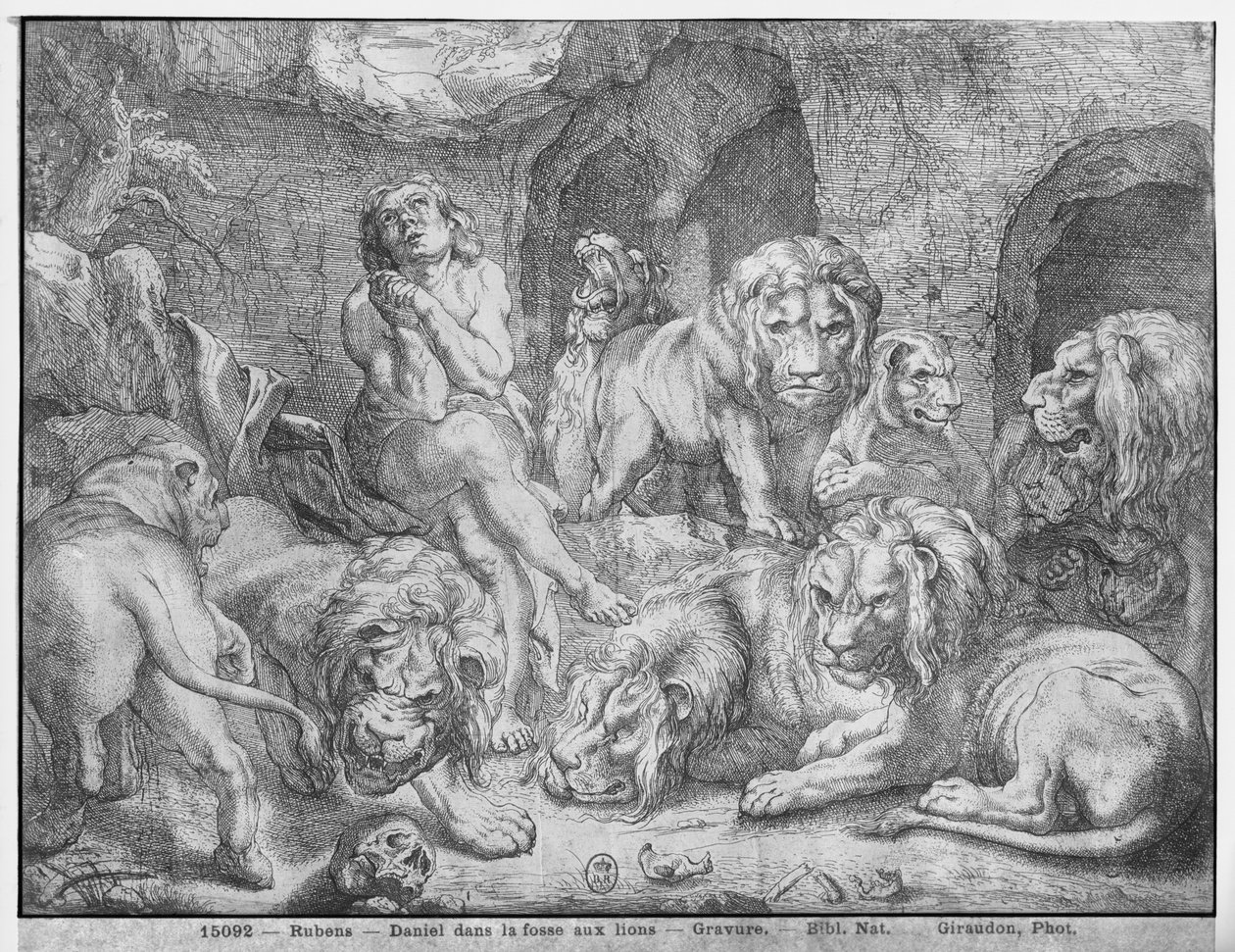 Daniel az oroszlánok barlangjában alkotó: Peter Paul Rubens