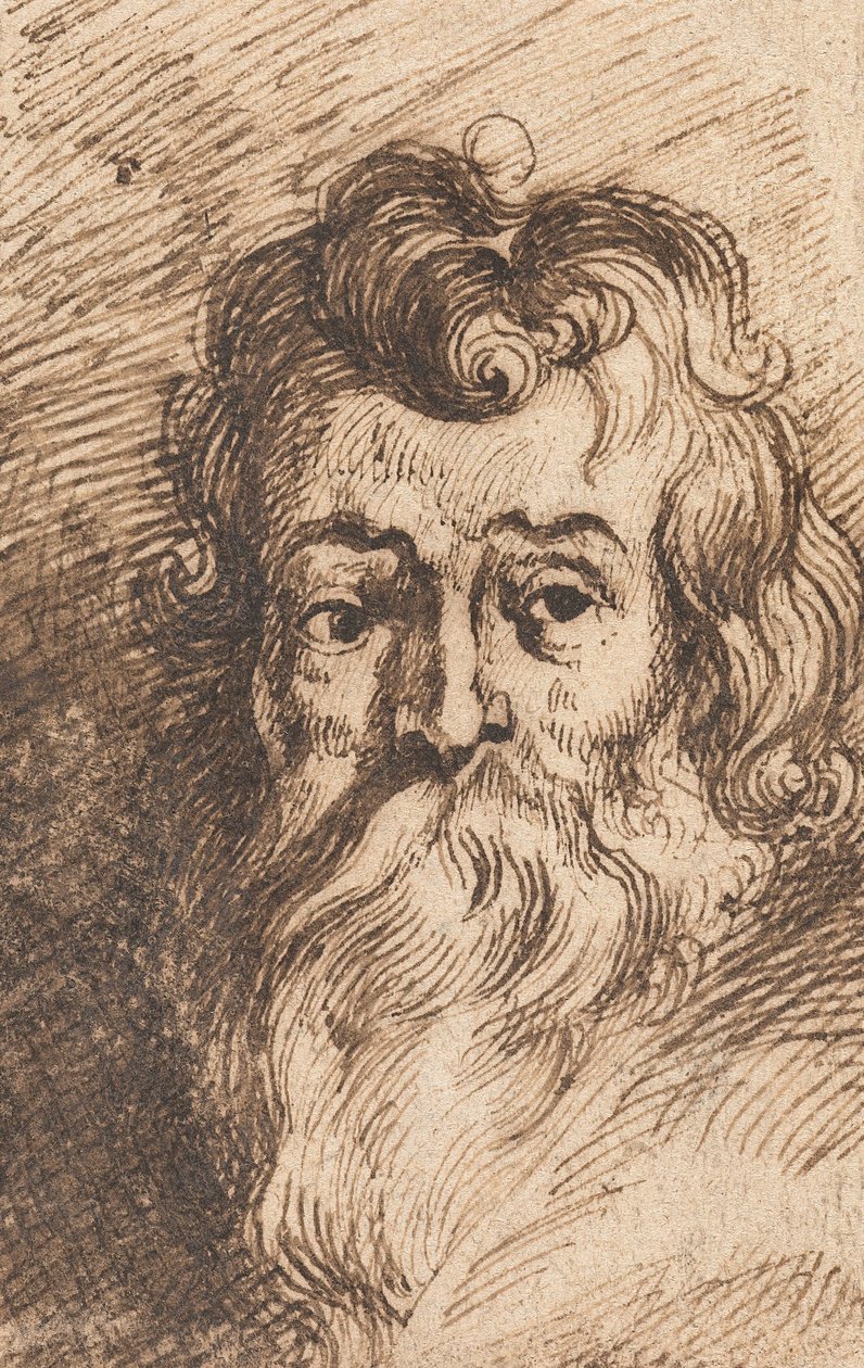 Szakállas férfi feje alkotó: Peter Paul Rubens