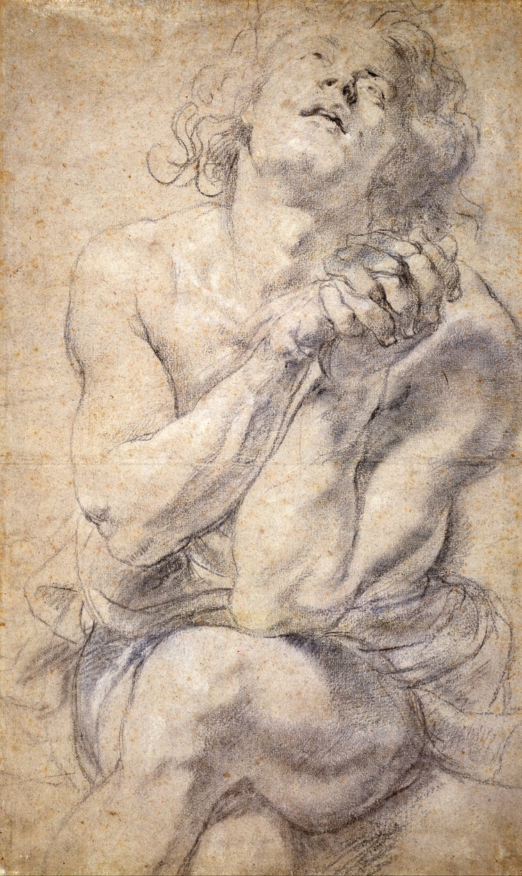 Ülő férfi ifjúság (Tanulmány Daniel számára) alkotó: Peter Paul Rubens