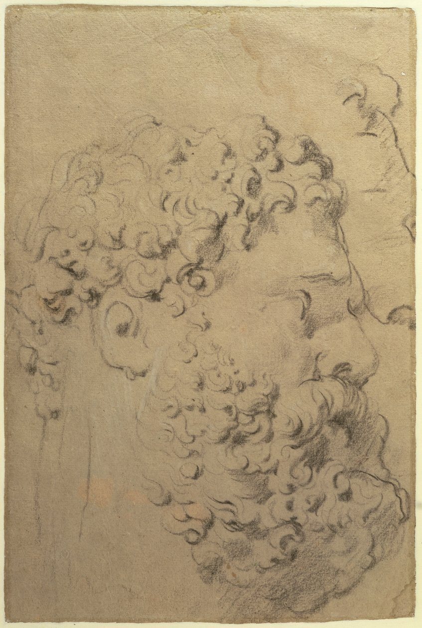 Glycon tanulmányai a Farnese Hercules fejéről és profiljáról, verso, 1606-08 (fekete-fehér kréta papíron) alkotó: Peter Paul Rubens