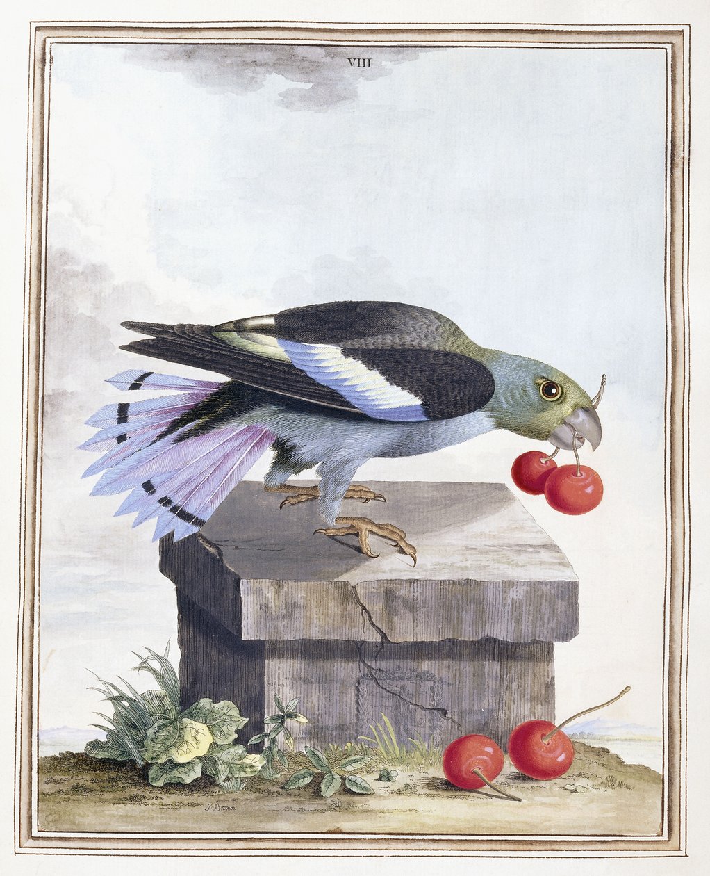 tábla VIII alkotó: Peter Brown