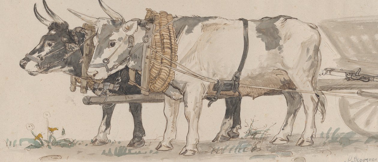 Két ökör húz egy szekeret, 1874. alkotó: Peter Christian Thamsen Skovgaard