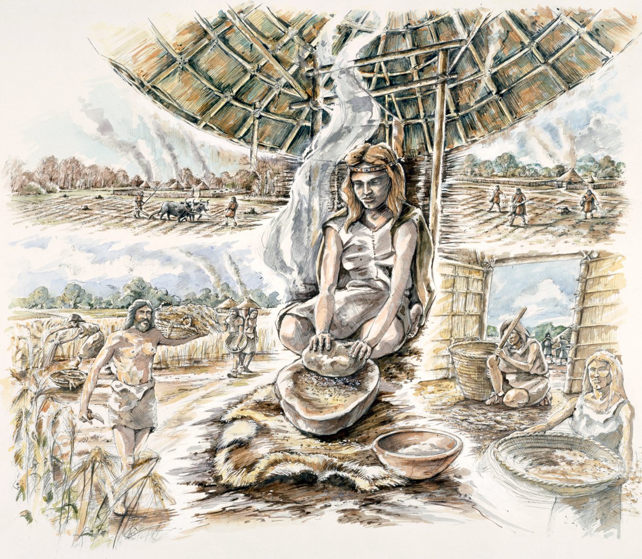 Neolit Gabonatermelés, c1990-2010 alkotó: Peter Dunn